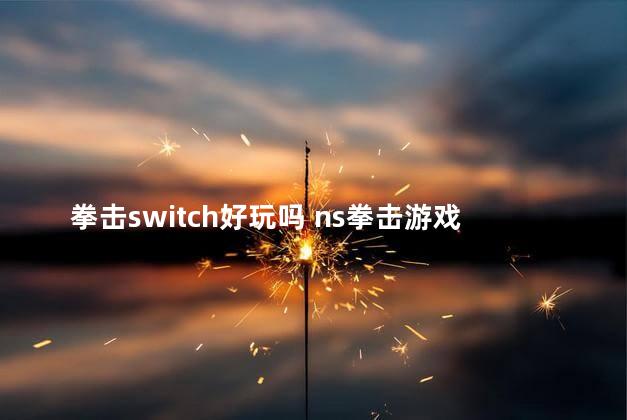 拳击switch好玩吗 ns拳击游戏